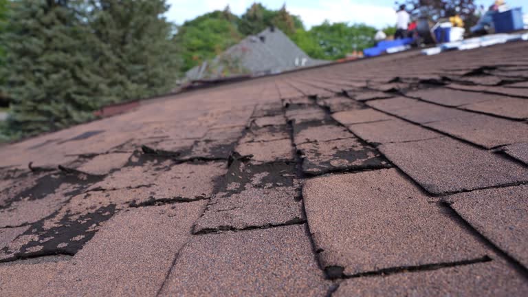 Best Emergency Roof Repair Services  in Galatia, IL