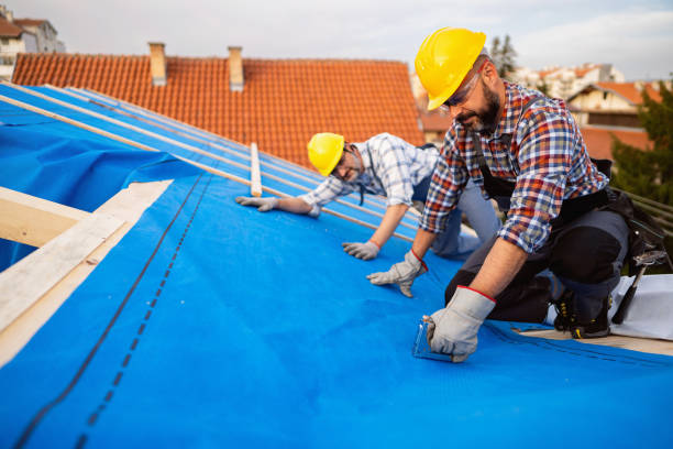 Roof Coating Services in Galatia, IL